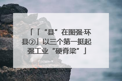 「“县”在图强·环县②」以三个第一挺起强工业“硬脊梁”