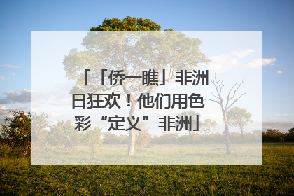「侨一瞧」非洲日狂欢！他们用色彩“定义”非洲