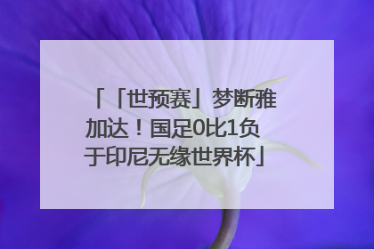 「世预赛」梦断雅加达！国足0比1负于印尼无缘世界杯