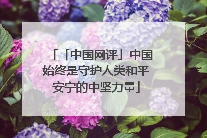 「中国网评」中国始终是守护人类和平安宁的中坚力量