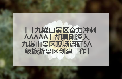 「九嶷山景区奋力冲刺AAAAA」胡勇刚深入九嶷山景区现场调研5A级旅游景区创建工作