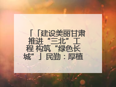 「建设美丽甘肃 推进“三北”工程 构筑“绿色长城”」民勤：厚植生态底色 筑牢绿色屏障