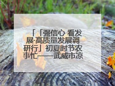 「强信心 看发展·高质量发展调研行」初夏时节农事忙——武威市凉州区推进高标准农田建设见闻