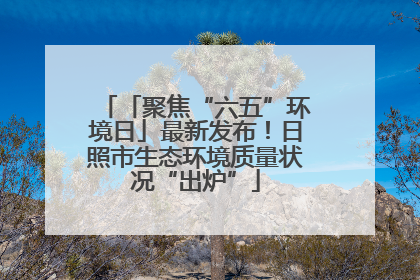 「聚焦“六五”环境日」最新发布！日照市生态环境质量状况“出炉”