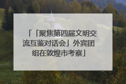 「聚焦第四届文明交流互鉴对话会」外宾团组在敦煌市考察