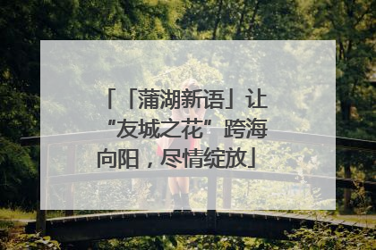 「蒲湖新语」让“友城之花”跨海向阳，尽情绽放