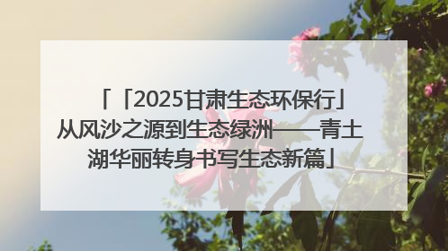 「2025甘肃生态环保行」从风沙之源到生态绿洲——青土湖华丽转身书写生态新篇