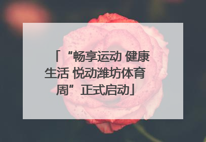 “畅享运动 健康生活 悦动潍坊体育周”正式启动