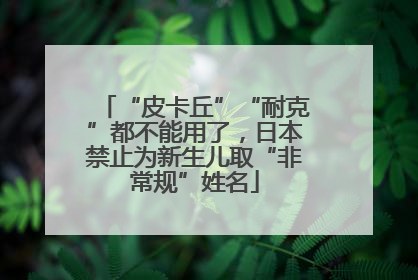 “皮卡丘”“耐克”都不能用了，日本禁止为新生儿取“非常规”姓名
