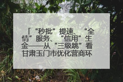 “秒批”提速、“全情”服务、“信用”生金——从“三级跳”看甘肃玉门市优化营商环境的进阶之路