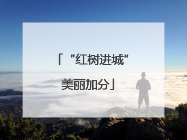 “红树进城” 美丽加分
