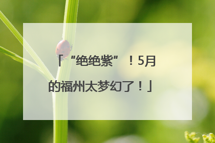 “绝绝紫”！5月的福州太梦幻了！