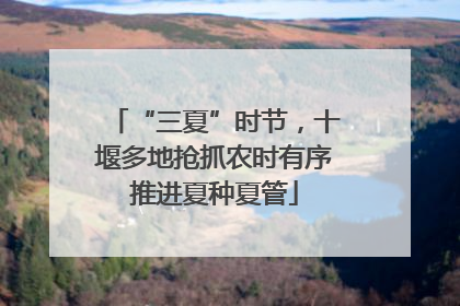 “三夏”时节，十堰多地抢抓农时有序推进夏种夏管