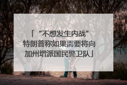 “不想发生内战” 特朗普称如果需要将向加州增派国民警卫队