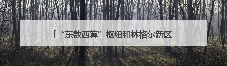 “东数西算”枢纽和林格尔新区：数据中心“绿电”使用率超80%