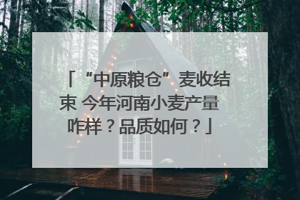 “中原粮仓”麦收结束 今年河南小麦产量咋样？品质如何？