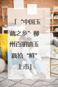 “中国玉藕之乡”柳州百朋镇玉藕抢“鲜”上市