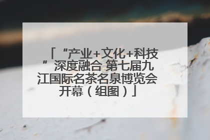 “产业+文化+科技”深度融合 第七届九江国际名茶名泉博览会开幕（组图）
