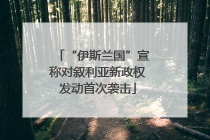 “伊斯兰国”宣称对叙利亚新政权发动首次袭击