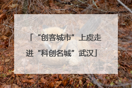 “创客城市”上虞走进“科创名城”武汉