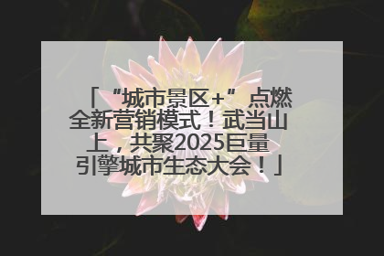 “城市景区+”点燃全新营销模式！武当山上，共聚2025巨量引擎城市生态大会！