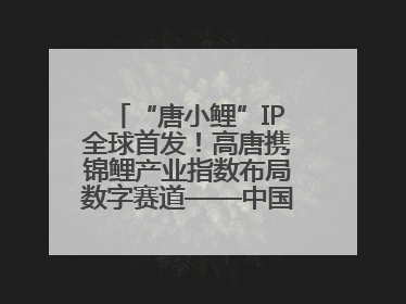 “唐小鲤”IP全球首发！高唐携锦鲤产业指数布局数字赛道——中国高唐锦鲤产业指数暨“唐小鲤”IP全球首发仪式在杭州举行