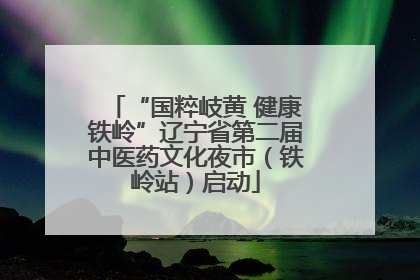 “国粹岐黄 健康铁岭”辽宁省第二届中医药文化夜市（铁岭站）启动