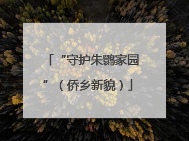“守护朱鹮家园”（侨乡新貌）