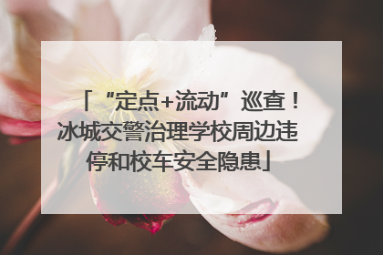 “定点+流动”巡查！冰城交警治理学校周边违停和校车安全隐患