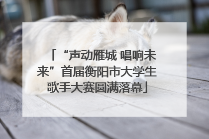 “声动雁城 唱响未来”首届衡阳市大学生歌手大赛圆满落幕