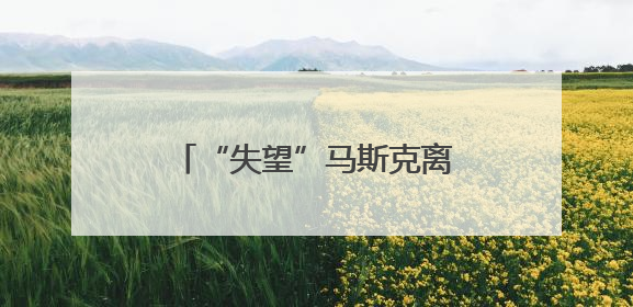 “失望”马斯克离开特朗普政府 媒体称当天两人未交谈