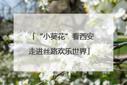 “小葵花”看西安走进丝路欢乐世界