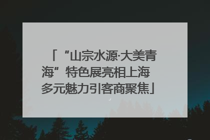 “山宗水源·大美青海”特色展亮相上海 多元魅力引客商聚焦