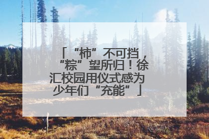 “柿”不可挡，“粽”望所归！徐汇校园用仪式感为少年们“充能”