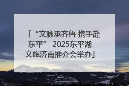 “文脉承齐鲁 携手赴东平” 2025东平湖文旅济南推介会举办
