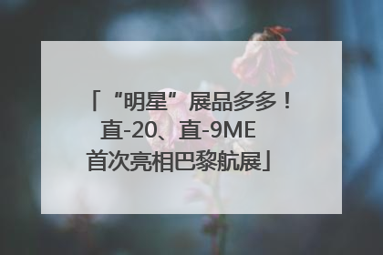“明星”展品多多！直-20、直-9ME首次亮相巴黎航展