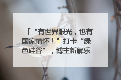 “有世界眼光，也有国家情怀！”打卡“绿色硅谷”，博主新解乐山｜网络名人四川行