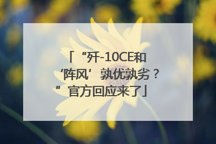 “歼-10CE和‘阵风’孰优孰劣？”官方回应来了