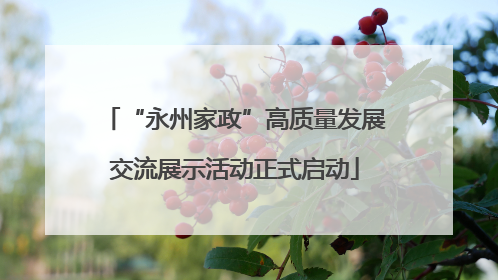 “永州家政”高质量发展交流展示活动正式启动