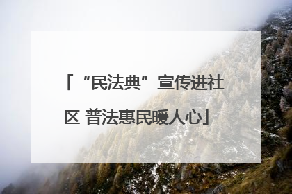 “民法典”宣传进社区 普法惠民暖人心