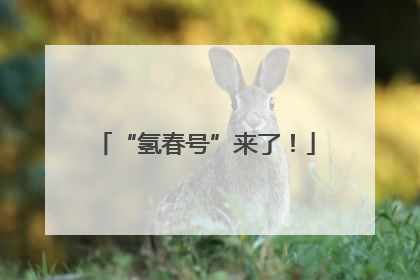 “氢春号”来了！