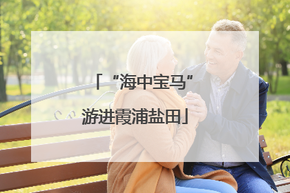 “海中宝马”游进霞浦盐田