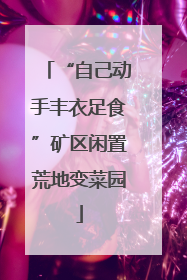 “自己动手丰衣足食”矿区闲置荒地变菜园