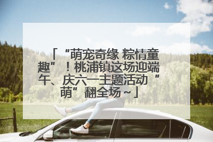 “萌宠奇缘 粽情童趣”！桃浦镇这场迎端午、庆六一主题活动“萌”翻全场～