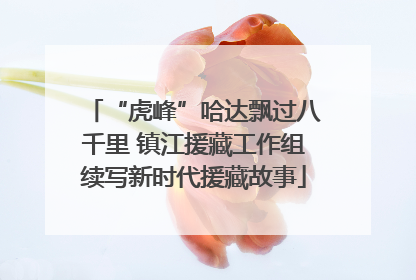 “虎峰”哈达飘过八千里 镇江援藏工作组续写新时代援藏故事
