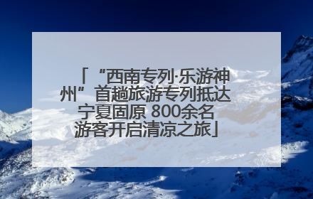 “西南专列·乐游神州”首趟旅游专列抵达宁夏固原 800余名游客开启清凉之旅
