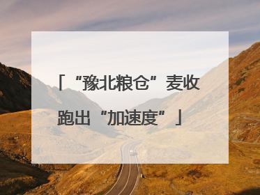 “豫北粮仓”麦收跑出“加速度”