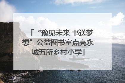 “豫见未来 书送梦想”公益图书室点亮永城五所乡村小学
