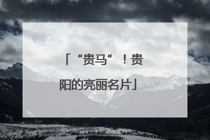 “贵马”！贵阳的亮丽名片