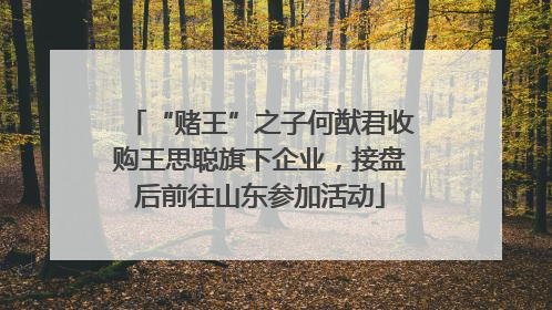 “赌王”之子何猷君收购王思聪旗下企业，接盘后前往山东参加活动
